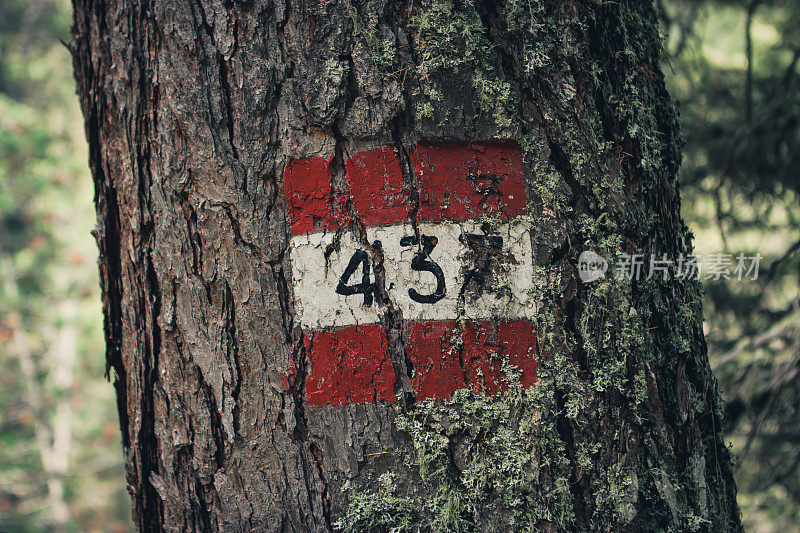 意大利Dolomites, Cortina D’ampezzo，一棵树上红色和白色的标记，编号437